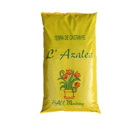 Especialitats